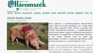 haromszek_diszno