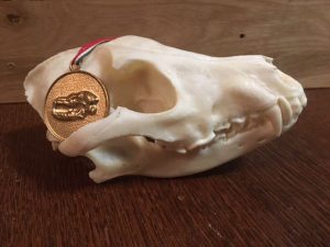 Fotó: Novák Norbert