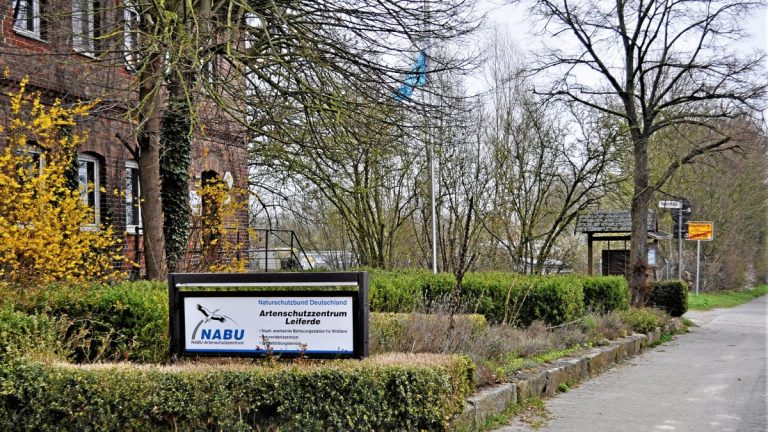 Kép: Dirk Kühn/FMN