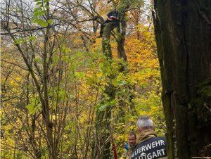 Kép: DJZ